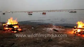 Raja Ghat, Varanasi : seat of Hinduism and holy spot for cows, rituals, tonsuring and prayer