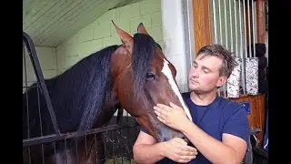 2017 Hambletonian Contenders - Long Tom, Enterprise