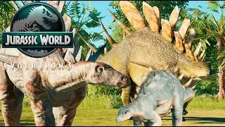 ALL Kentrosaurus and Baby's Animations｜Jurassic World Evolution 3