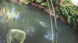 River Rhymney Trout 30-7-2014