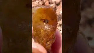 Finding Natural Carnelian And Agate Gemstones At The Mountain #crystals #naturalamethyst #quartz