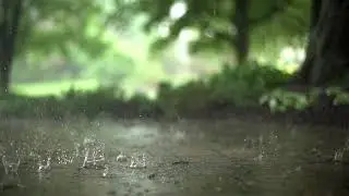 Barish #KD #KuldeepSingh #Kuldeep