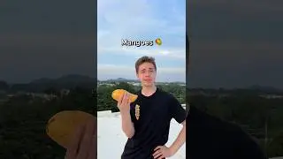 Misheard Lyrics 🛸