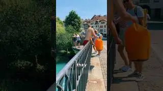 Swiss Workers Paid Little? Have to Swim Across the Aare River After Work! Fact or Hoax? #shorts