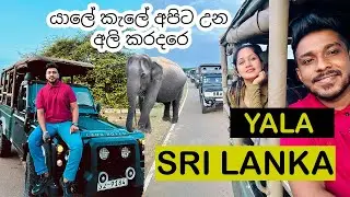 Spotting Leopards & Wildlife In Sri Lanka | Untamed Beauty Yala National Park Safari Sri Lanka