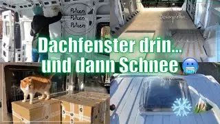 Van-Ausbau Teil 3: Dachfenster & Boden -- Winteredition🚐🪚🥶
