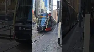 Sydney Light Rail Tram Network, L2 Randwick Line, Sydney