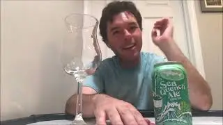 Top Tens Beer Review: #1 Fruited Kettle Sour - Dogfish Head Seaquench Ale