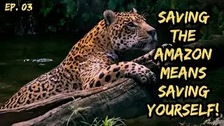 Preserving the Amazon Rainforest Isn't Conservation - It's Self-Preservation!