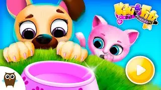 The Cutest Cat & Dog 😻 Kiki & Fifi Pet Friends | TutoTOONS