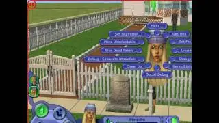 Sims2 - Schwangerschafts Cheat