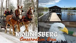 Mountsberg Conservation Area| Encountering Barn Animals & Enjoying Cart Ride at Mountsberg  #canada