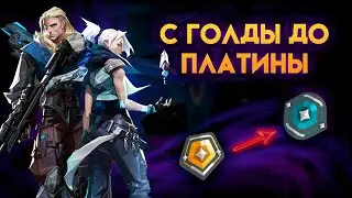 КАК ВЫБРАТЬСЯ С РАНГА ЗОЛОТО В ВАЛОРАНТ | ТРЕНИРОВКИ ДЛЯ УЛУЧШЕНИЯ АИМА
