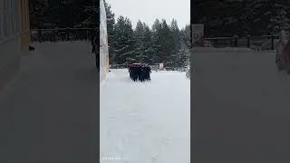 #учеба #кадеты