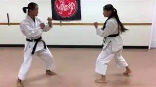Jiyu ippon kumite preformed by Mia & Evy