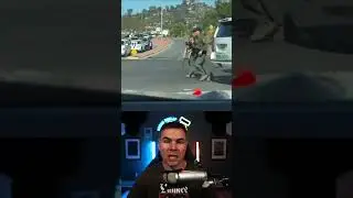 U.S. border patrol landed a helicopter on a busy road to save their K-9 after it was bitten by snake