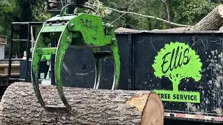 AM machinery AM720 Logging
