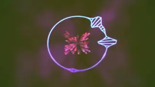 Oxygen-DJ Hiady