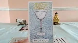 Taurus End of January 2021 Tarot Update