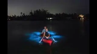 Laguna Grande Bioluminescent Bay - Fajardo, Puerto Rico (Edited)
