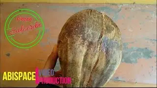 Strange Coconut