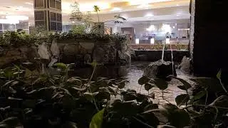 Soothing/Relaxing Waterfall At A Hotel Lobby