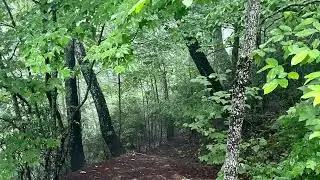 Webb Cove Gardens & Trails &hellip;