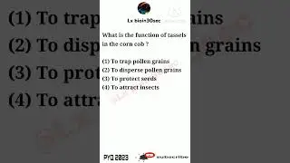 Functions of tassels in corn 🌽 BIOLOGY PYQ 2023 #neetpyq2023 #biology #pyq2023