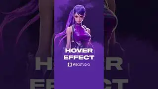 Hover Effect in Wix Studio