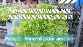Aquaponia: Melhor mineralizador caseiro do mundo para Aquaponia:  Parte 2: biorreator aeróbio