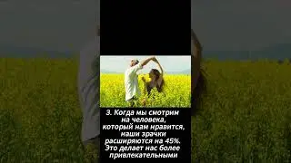 5 фактов о любви. 5 facts about love