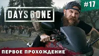 Байкеры против зомби-фриков, бой продолжается. Days Gone часть 17