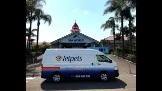Jetpets | Zoo Animal Transport