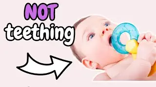 Baby's Taste, Smell and Memories...let's take a deeper look!