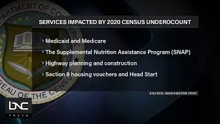 Census Report Shows Black Community Undercounted at High Rate