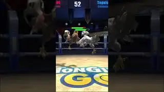 Online Sabong Tagalog VS Binabae