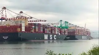 DUE NAVI GIGANTI NEL PORTO DI GIOIA TAURO