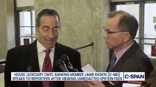 Rep. Raskin on Epstein Files, Department of Justice Cover-up and Redactions