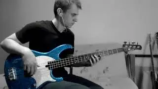RHCP - Dark Necessities bass cover