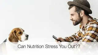 How nutrition can reduce stress on the body