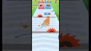 Cat Evolution#games #funny#mobilegame #shorts