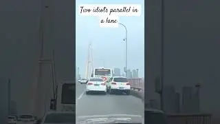 what would  you say about these two idiot drivers