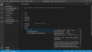 Python Typecasting