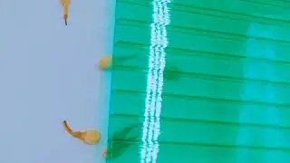 8 mm green double wall sun sheet