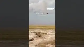 AMBOSELI NATIONAL PARK KENYA 🇰🇪 #nationalpark #adventure #dianibeach #subscribe #kenya