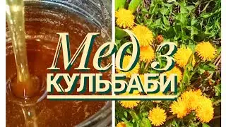 МЕД З КУЛЬБАБИ 🍯4 ІНГРЕДІЄНТА🤫НЕ ВІДРІЗНИТИ ВІД НАТУРАЛЬНОГО😇