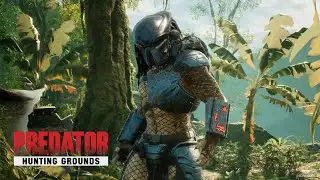 Predator Hunting Grounds: If It Bleeds 🩸 We Can Kill It