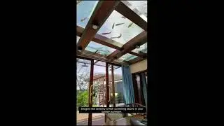 Unique Sunroom Ceilings with Hommie | Affordable Custom Sunrooms