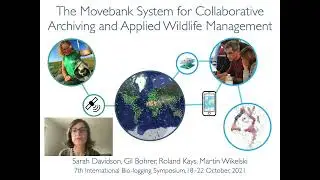Введение в Movebank (Симпозиум по биологическому логированию, 2021 г.)