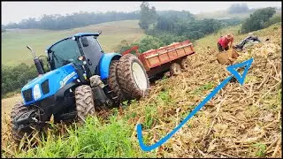 INDO BUSCAR MILHO NA LAVOURA DE NEW HOLLAND T6 110!